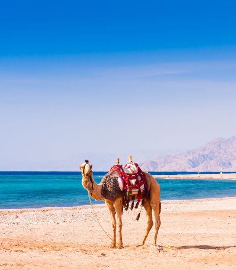 Place to visit in saudi arabia